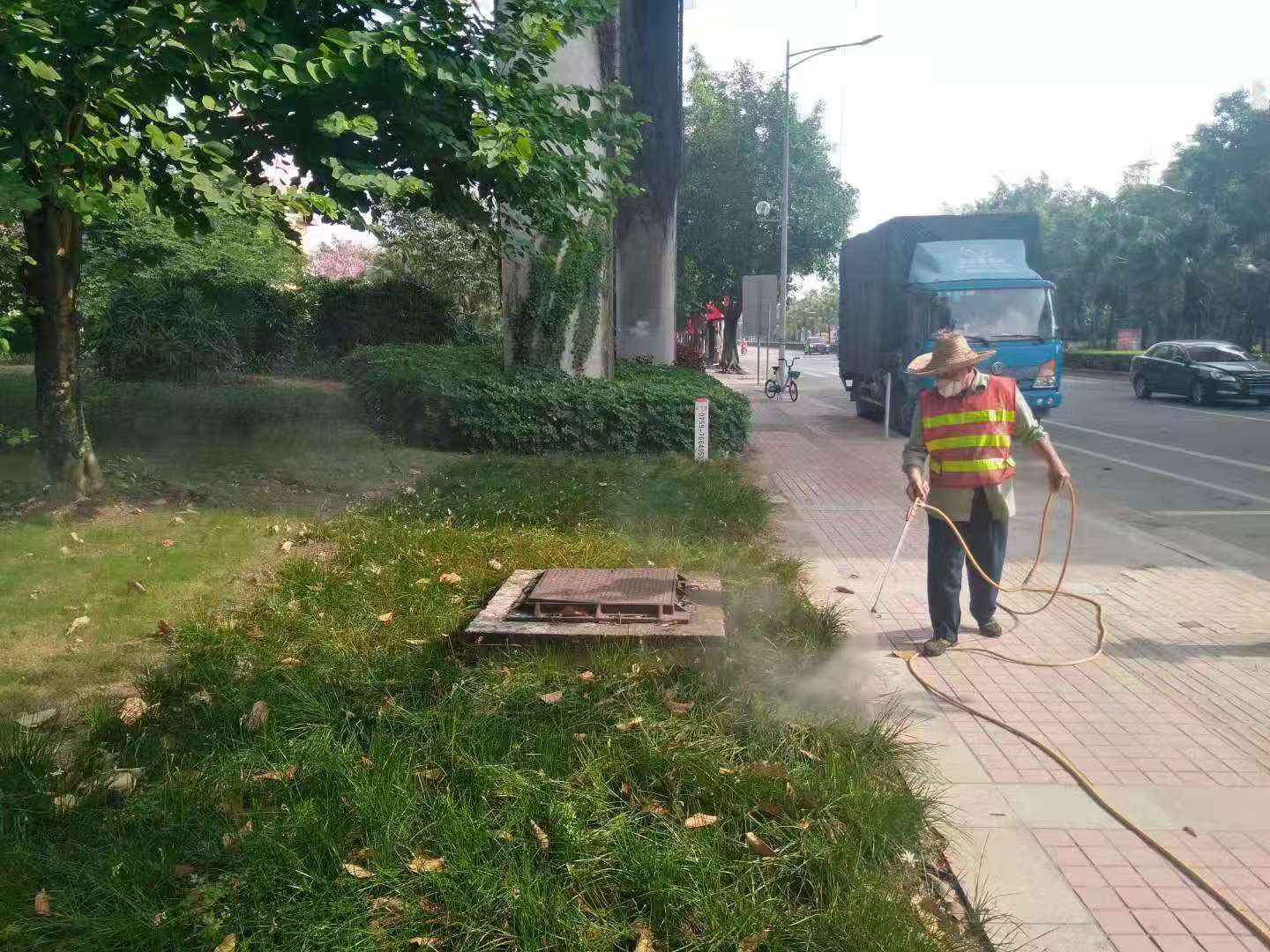 江咀公园喷药杀虫.jpg